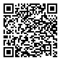 QR Code https://www.principocket.com/it/events/c36410b5d3fb1d9259ef278c187f4c6b-Events-Fireworks