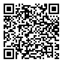 QR Code https://www.principocket.com/it/events/d1566fbd46b8a8b2569f81405c1ad390-Film-Agent-Trouble