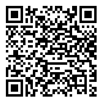 QR Code https://www.principocket.com/it/events/d9ce4b6c15b507720bb87db676047f70-La-securite