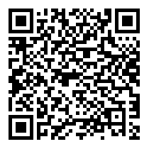 QR Code https://www.principocket.com/it/events/eb990d5496a4563bf4cdb7c98f625824-Auction-Sale