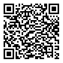 QR Code https://www.principocket.com/it/events/f32733151923c38e0b4838899e2067a9-Non-sarei-arrivata-li-se