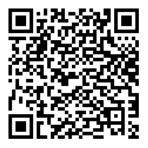 QR Code https://www.principocket.com/it/events/fe69a3f20f701ca72738638024c540c1-Burning-Cars